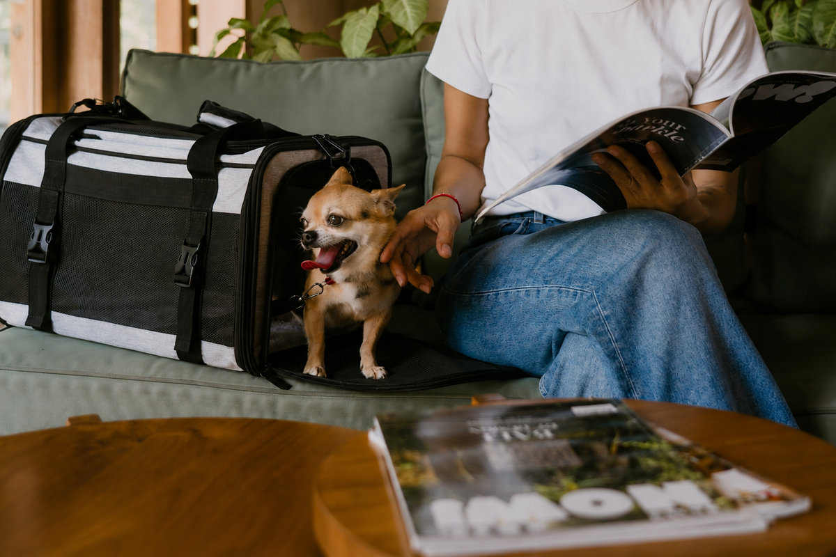 Dr. Olsson Scandinavia | Premium Pet Carrier