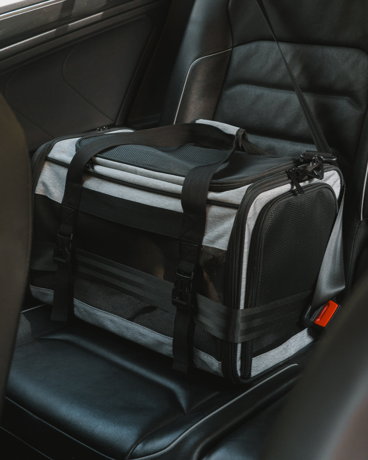 Dr. Olsson Scandinavia | Premium Pet Carrier