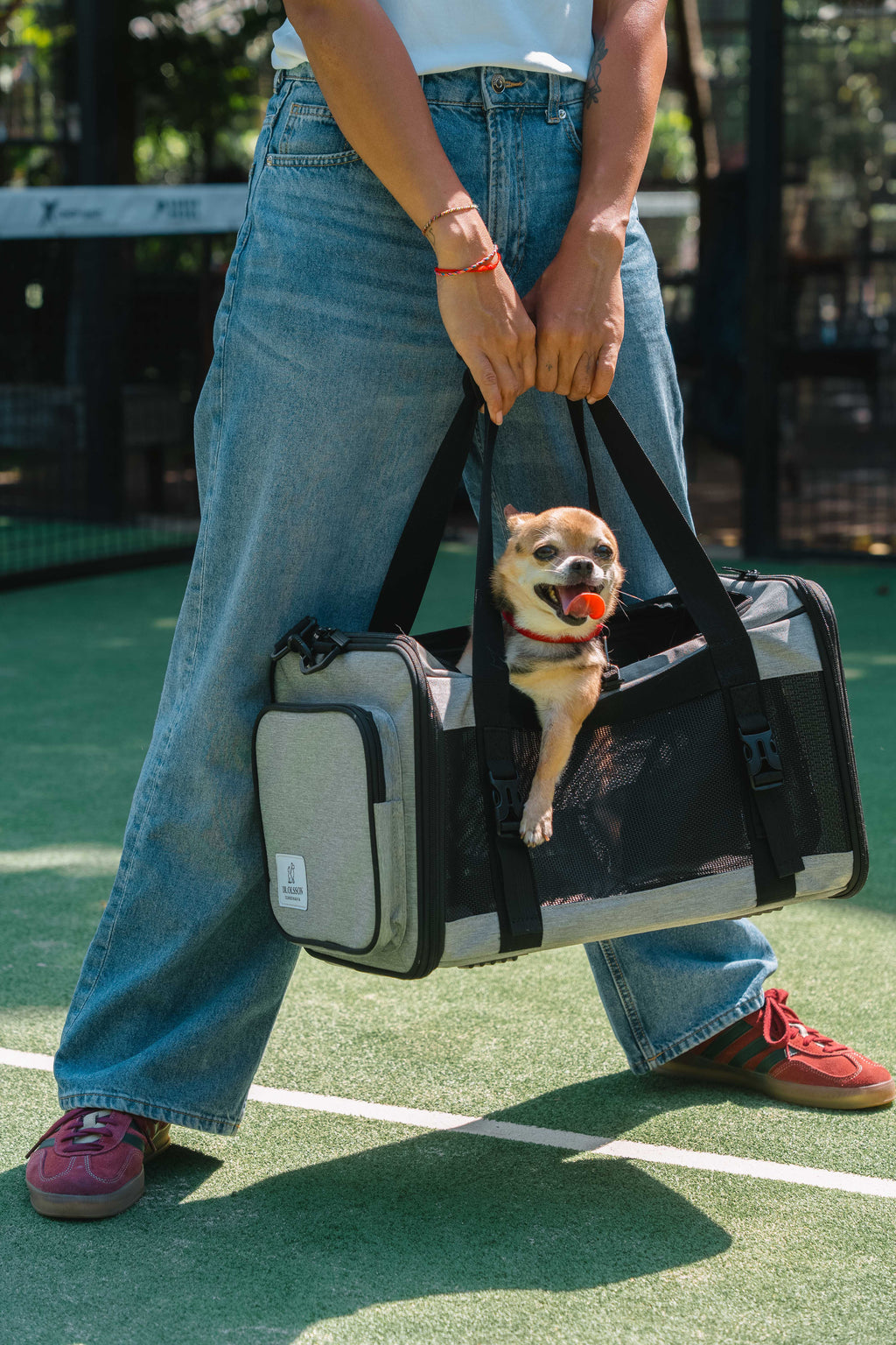 Dr. Olsson Scandinavia | Premium Pet Carrier